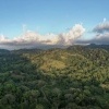 CostaRica_Tarcoles_0491