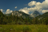 DS8_7768