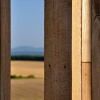 DSC_2898_8_W